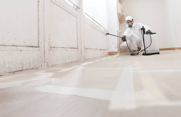 24/7 Emergency Attic Mold Removal experts in North Reading, MA