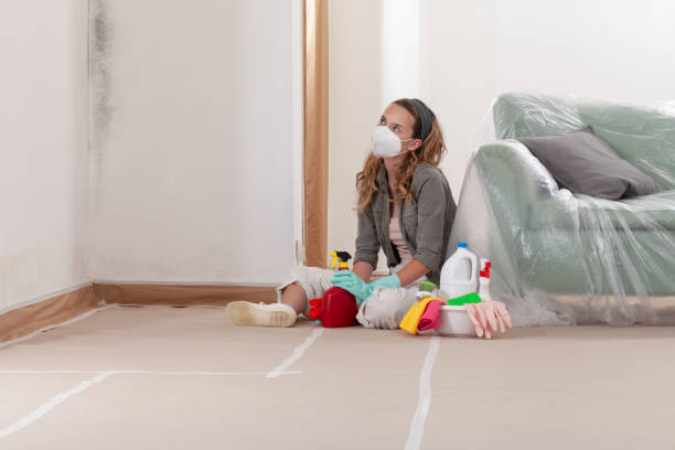 Reliable Attic Mold Removal contractor in North Reading, MA by WQB Mold Removal