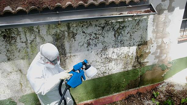 Top rated local Attic Mold Removal specialists in North Reading, MA